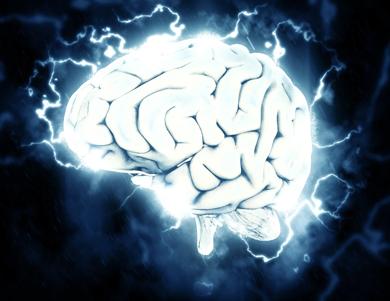 2024_Brain-Initiative